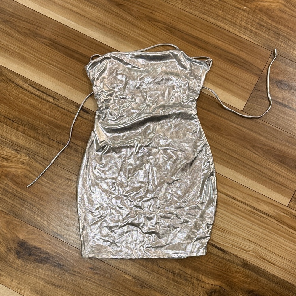 Windsor Strapless Silver Dress